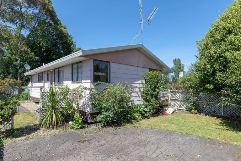 Photo of property in 45 Alison Street, Hamilton Lake, Hamilton, 3204