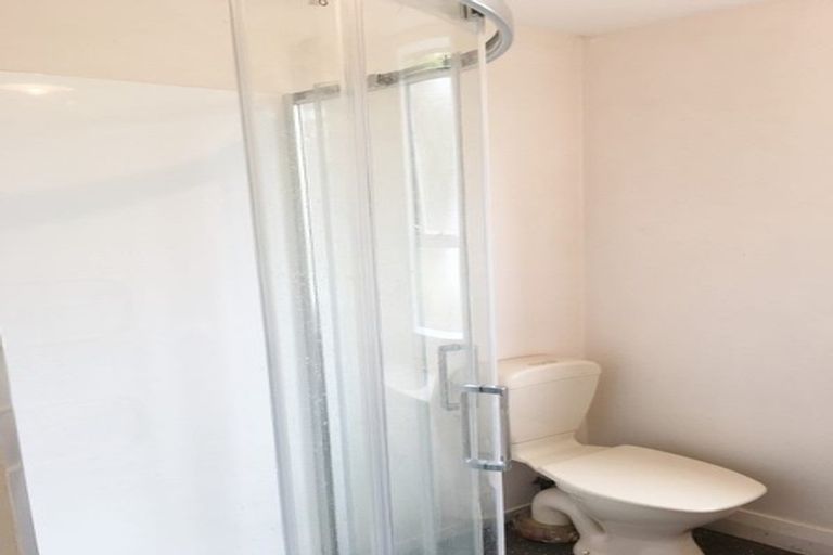 Photo of property in 38 Malvern Street, Woodhaugh, Dunedin, 9010