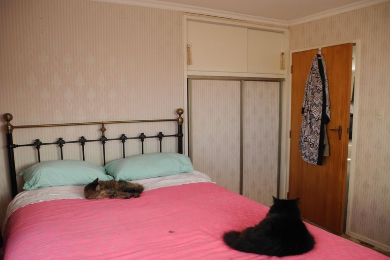 Photo of property in 3 Saul Shrives Place, Waimate, 7924