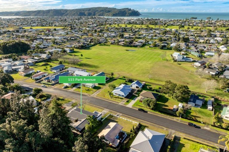 Photo of property in 115 Park Avenue, Whangamata, 3620