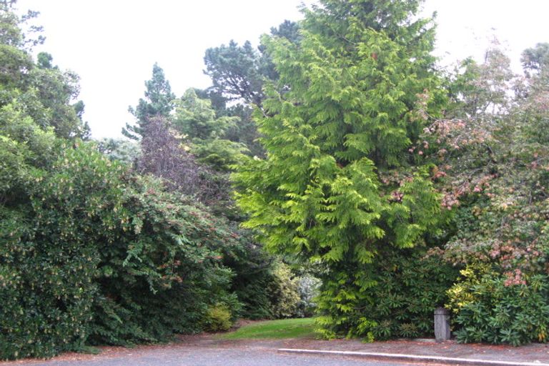 Photo of property in 8 Fry Street, Fairfield, Dunedin, 9018