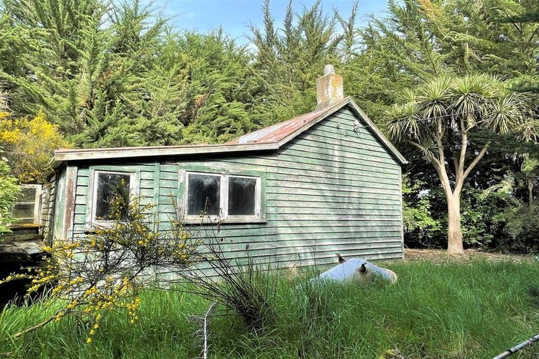 Photo of property in 25 Newport Street, Milton, 9220