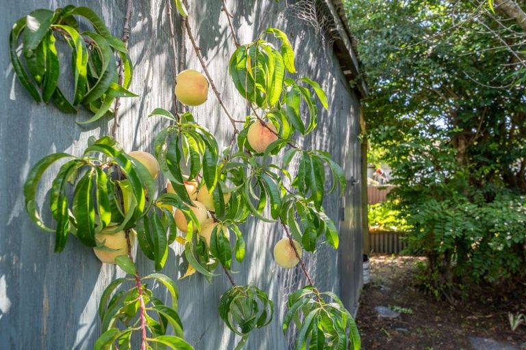 Photo of property in 173 Rangiuru Road, Otaki, 5512