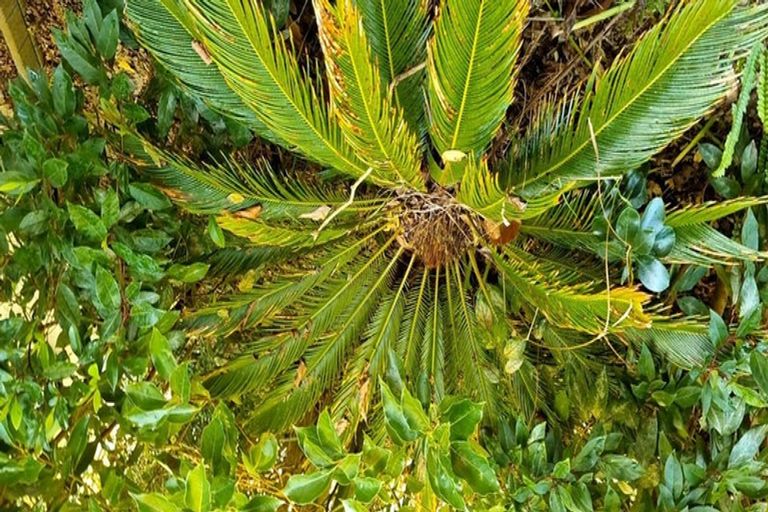 Photo of property in 2 Kerlin Crescent, West Harbour, Auckland, 0618