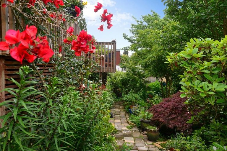 Photo of property in 10a Ridout Street, Maeroa, Hamilton, 3200