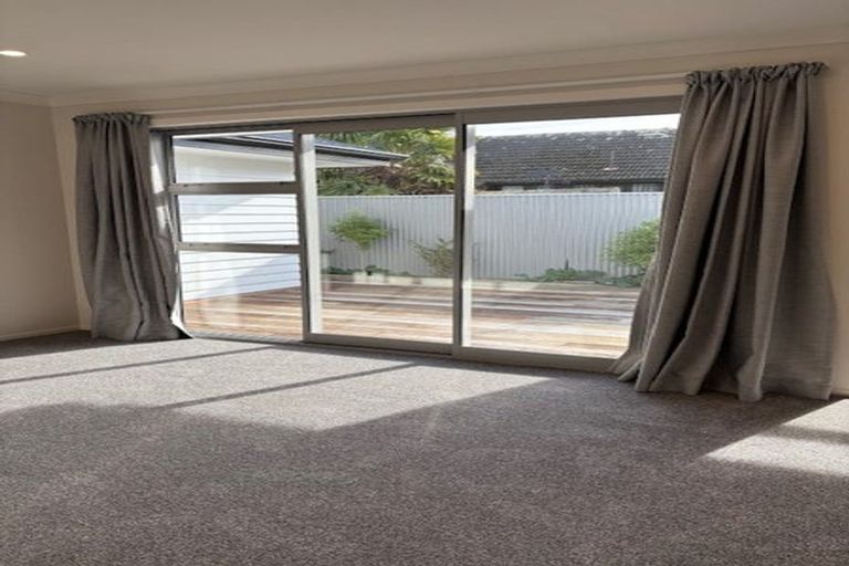 Photo of property in 115a Limbrick Street, Terrace End, Palmerston North, 4410