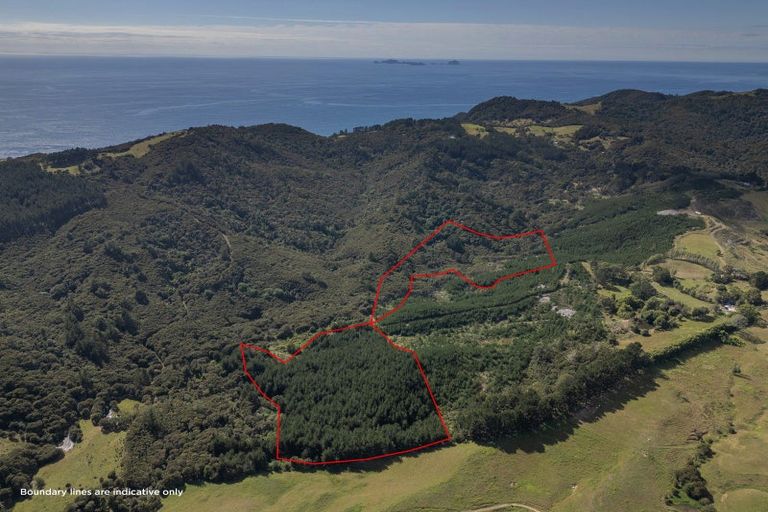 Photo of property in 425d Boat Harbour Road, Whenuakite, Whitianga, 3591