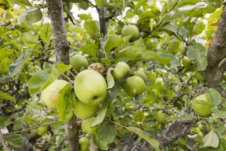 Photo of property in 208a South Street, Feilding, 4702