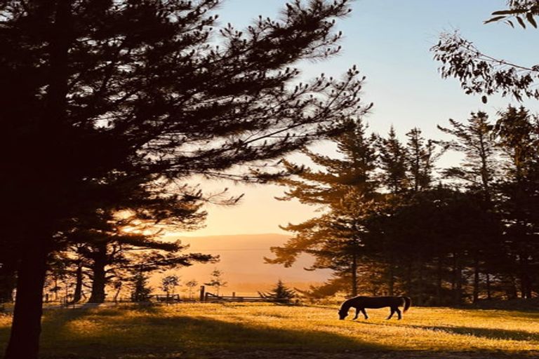 Photo of property in 65 Butterfield Road, Hawea Flat, 9382