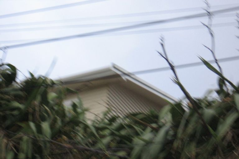 Photo of property in 63 Mantell Street, Seatoun, Wellington, 6022