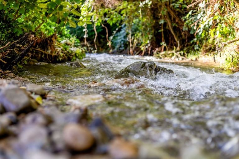 Photo of property in 201 Coast Road, Wainuiomata, Lower Hutt, 5373