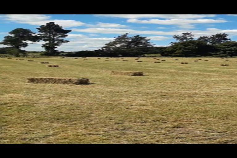 Photo of property in 105 Willis Road, Ngahinapouri, Hamilton, 3290