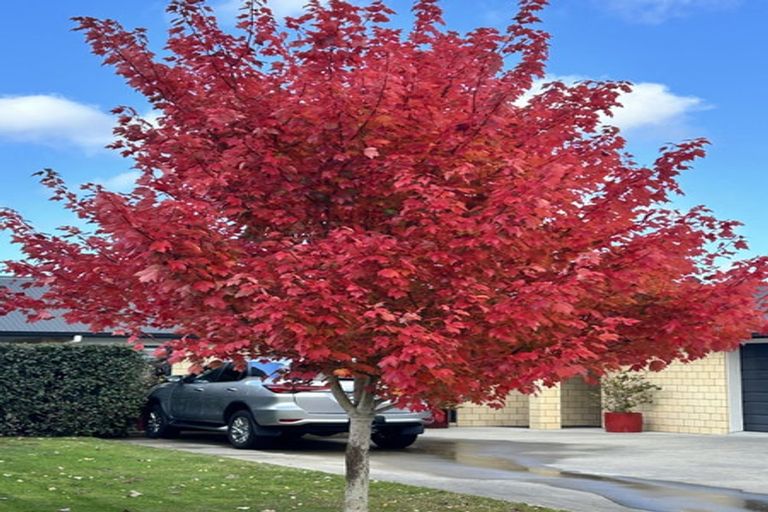 Photo of property in 4 Tiaki Way, Cambridge, 3434