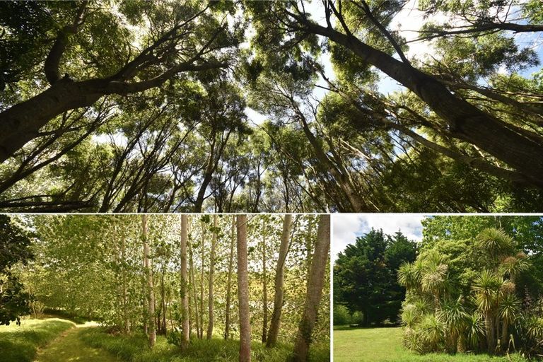 Photo of property in 245 Metcalfe Road, Matakohe, 0593