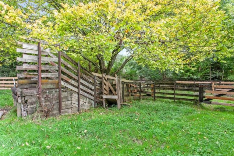 Photo of property in 659a White Pine Bush Road, White Pine Bush, Whakatane, 3191