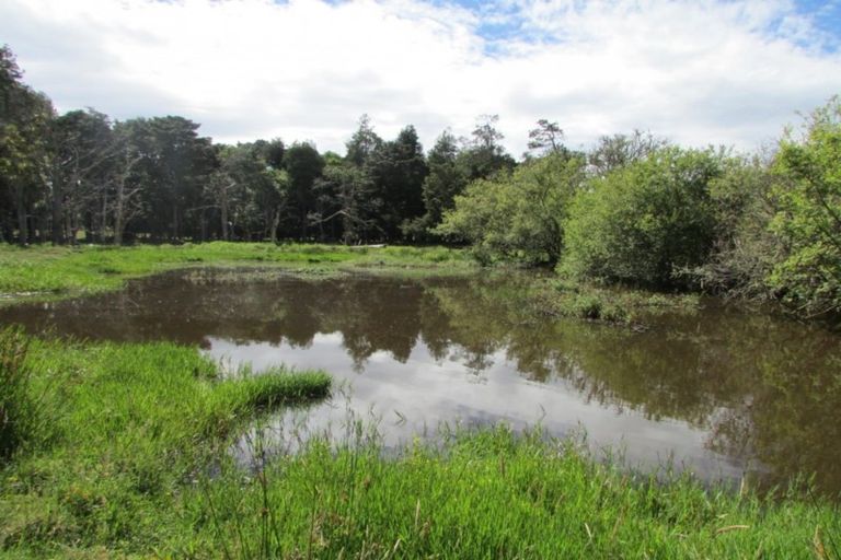 Photo of property in 58 Riddell Road, Waerenga, Te Kauwhata, 3781