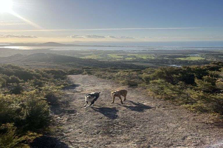 Photo of property in 109 Doubtless Bay Drive, Karikari Peninsula, 0483