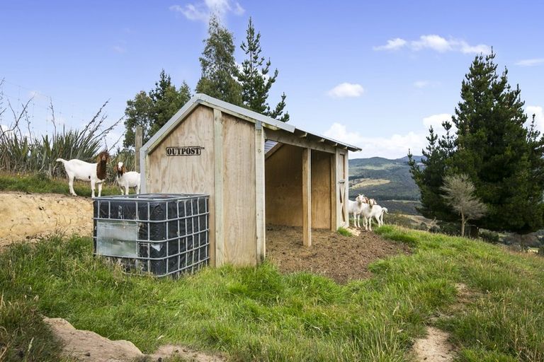 Photo of property in 798 Mount Cargill Road, Mount Cargill, Waitati, 9085