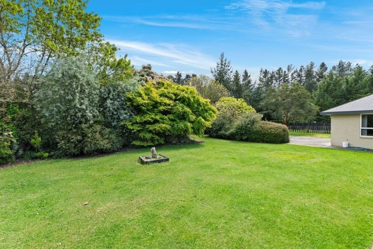 Photo of property in 168 Langdales Road, West Melton, Christchurch, 7676