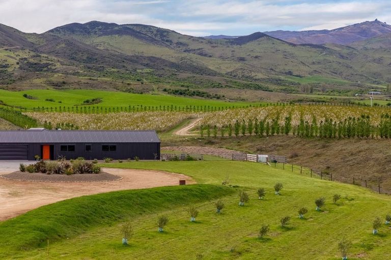 Photo of property in 39 Kordia Way, Waikerikeri, Alexandra, 9391