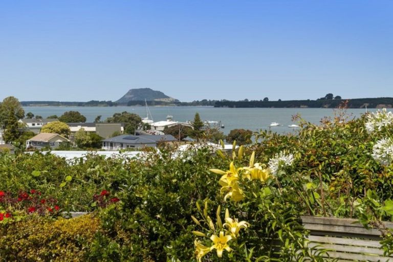 Photo of property in 19a Omokoroa Road, Omokoroa, 3114