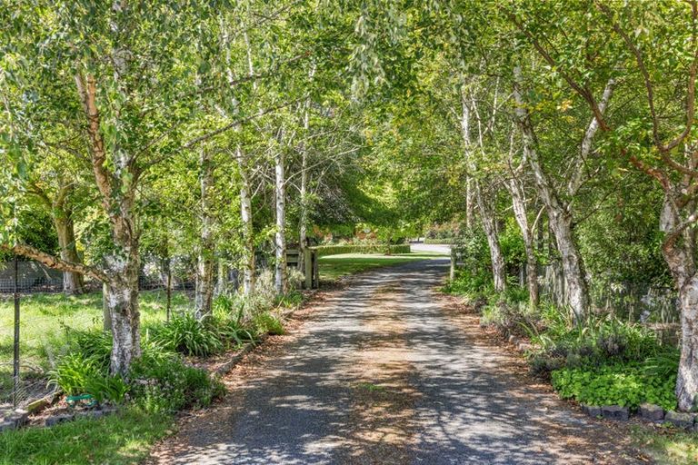 Photo of property in 4 Wilson Drive, Ohoka, Kaiapoi, 7692