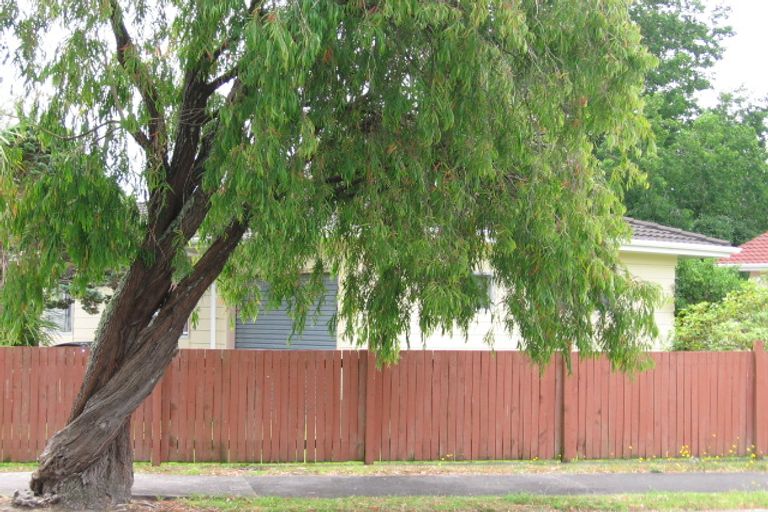 Photo of property in 100 Fonteyn Street, Avondale, Auckland, 1026