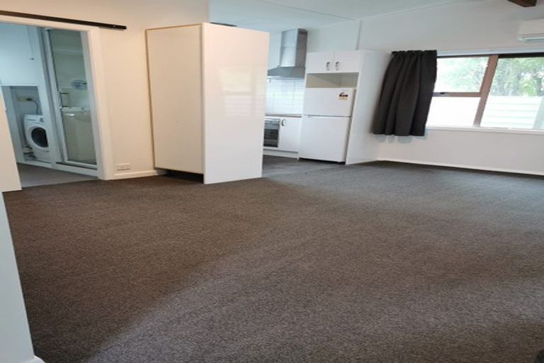 Photo of property in 55 Brook Street, The Brook, Nelson, 7010