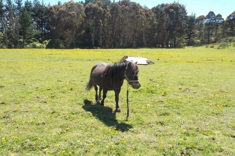 Photo of property in 349 Turitea Road, Turitea, Palmerston North, 4472