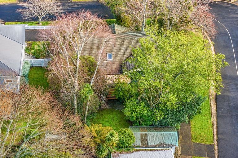 Photo of property in 24 Myrtle Street, Hamilton East, Hamilton, 3216