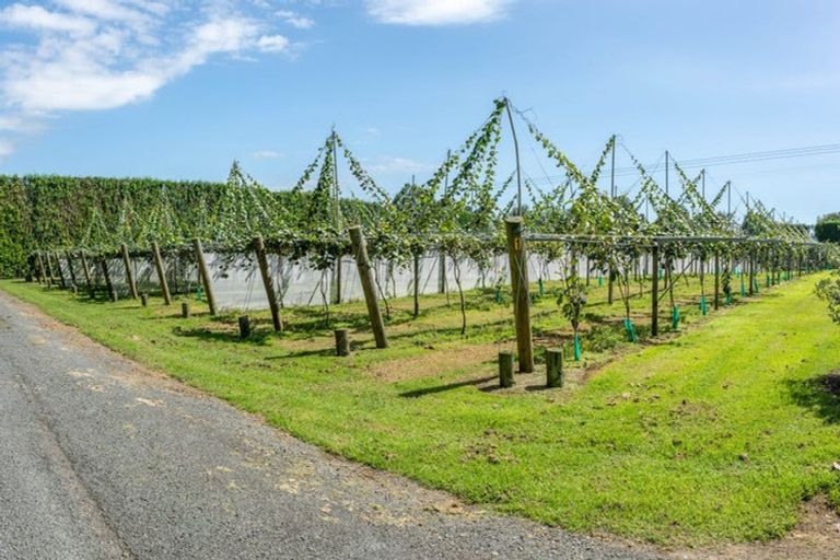 Photo of property in 154b Wairoa Road, Minden, Tauranga, 3171