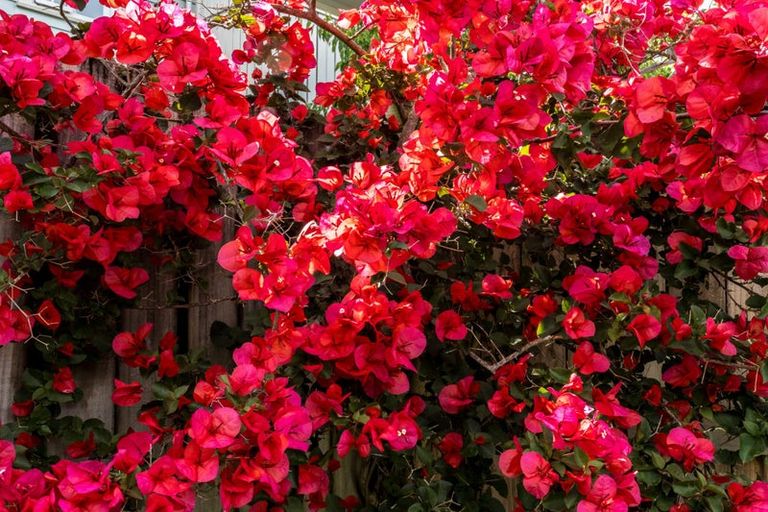 Photo of property in 16h Lincoln Road, Henderson, Auckland, 0610