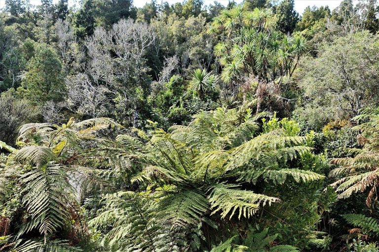 Photo of property in 459 Utopia Road, Westport, 7892