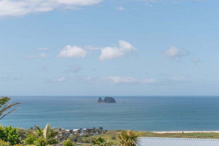 Photo of property in 171 Centennial Drive, Whitianga, 3510