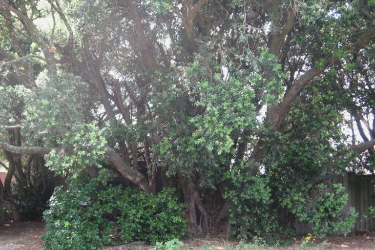 Photo of property in 12a Pare Street, Wainui, Gisborne, 4010