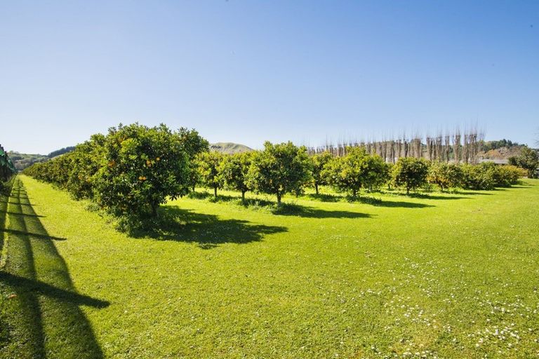 Photo of property in 1286 Matawai Road, Ormond, Gisborne, 4071