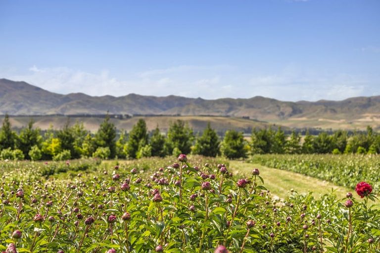 Photo of property in 42d Gladsmuir Road, Queensberry, Cromwell, 9383