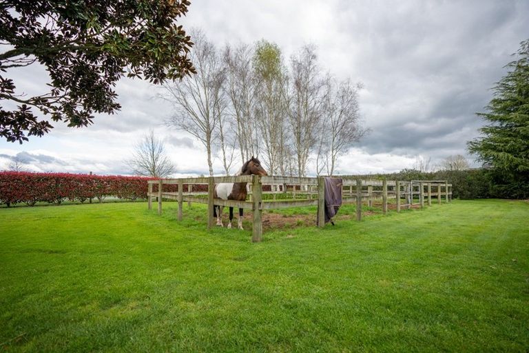 Photo of property in 188 Bellevue Road, Matangi, Hamilton, 3284