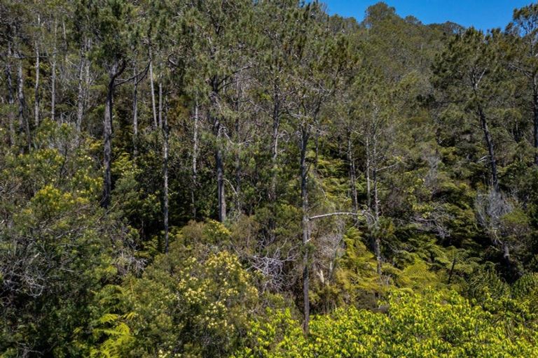 Photo of property in 8 Patricia Place, Hahei, Whitianga, 3591