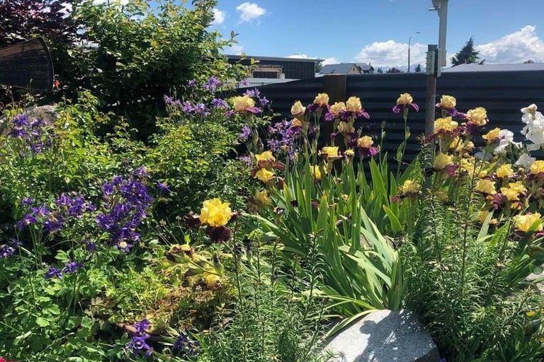 Photo of property in 8 Rhoboro Road, Twizel, 7901