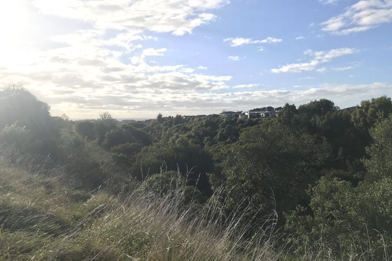 Photo of property in 24 Silkwood Place, Fitzherbert, Palmerston North, 4410