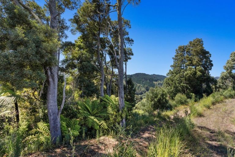 Photo of property in 1588 Stanley Road, Waimana, 3198