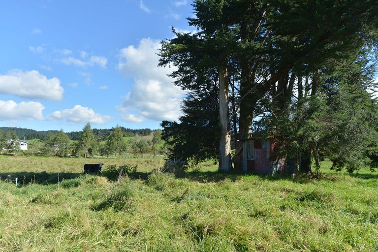 Photo of property in 127 Mcbreen Road, Hikurangi, 0181