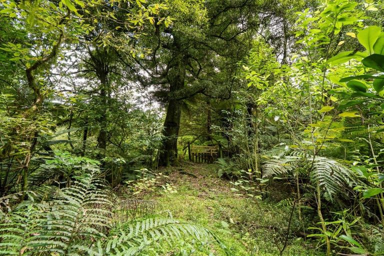 Photo of property in 217 Soldiers Road, Lower Kaimai, Tauranga, 3171