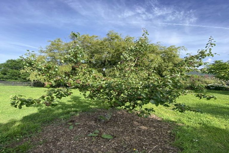 Photo of property in 59a Selwyn Street, Pohara, Takaka, 7183