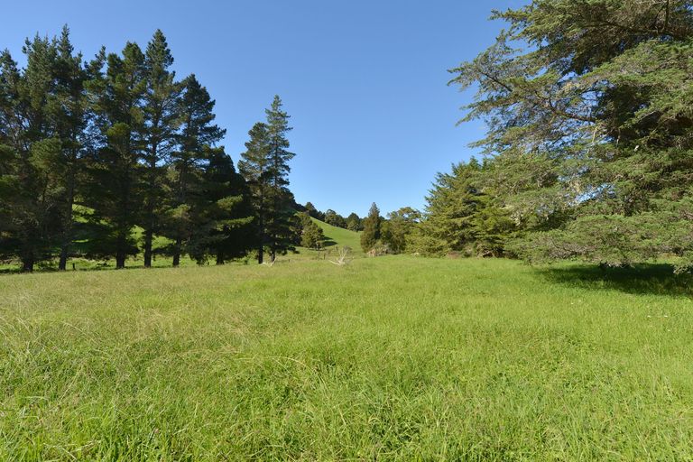Photo of property in 127 Mcbreen Road, Hikurangi, 0181