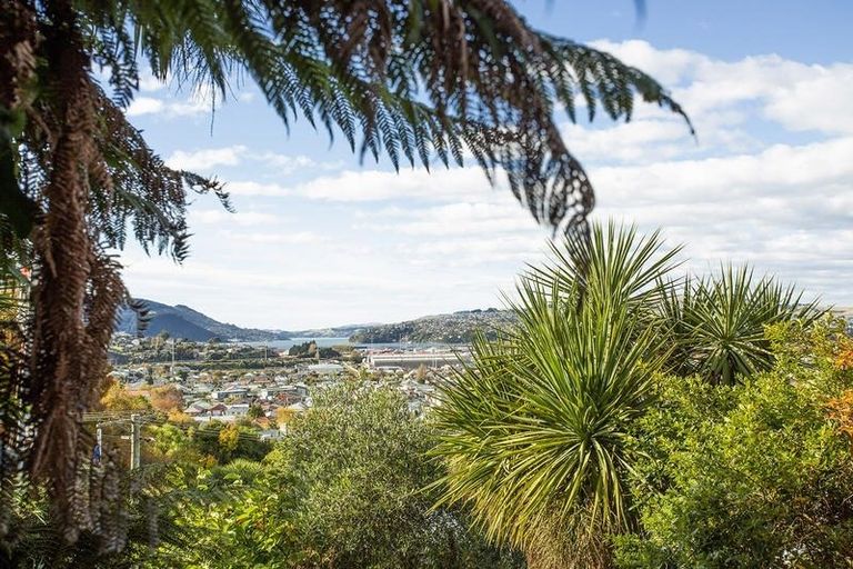 Photo of property in 56 Peter Street, Caversham, Dunedin, 9012