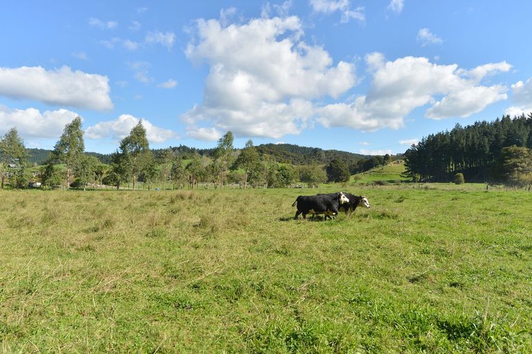 Photo of property in 127 Mcbreen Road, Hikurangi, 0181
