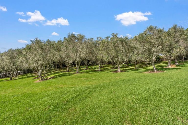 Photo of property in 2342 Cove Road, Mangawhai, 0573