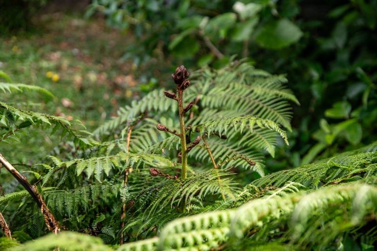 Photo of property in 4 Baxter Way, Karori, Wellington, 6012